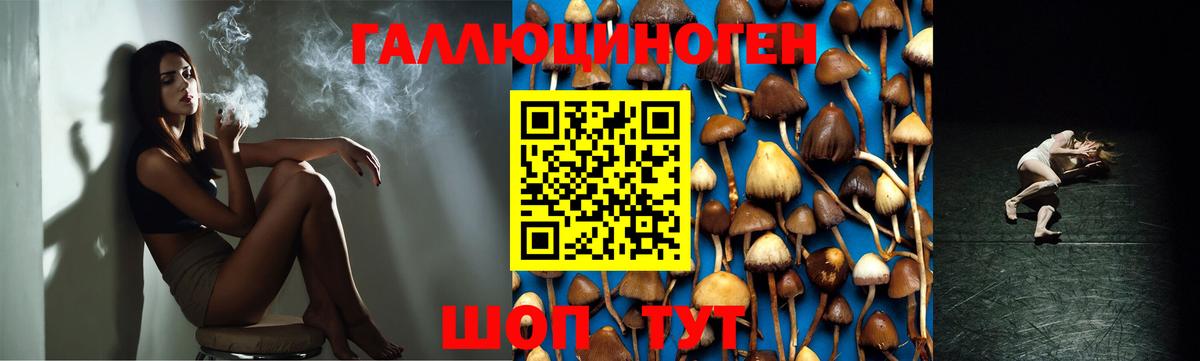 Галлюциногенные грибы GOLDEN TEACHER Павлово