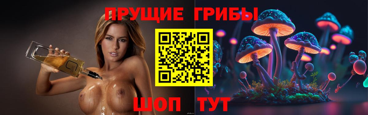 Павлово  Псилоцибиновые грибы Psilocybe  Вход с VPN 